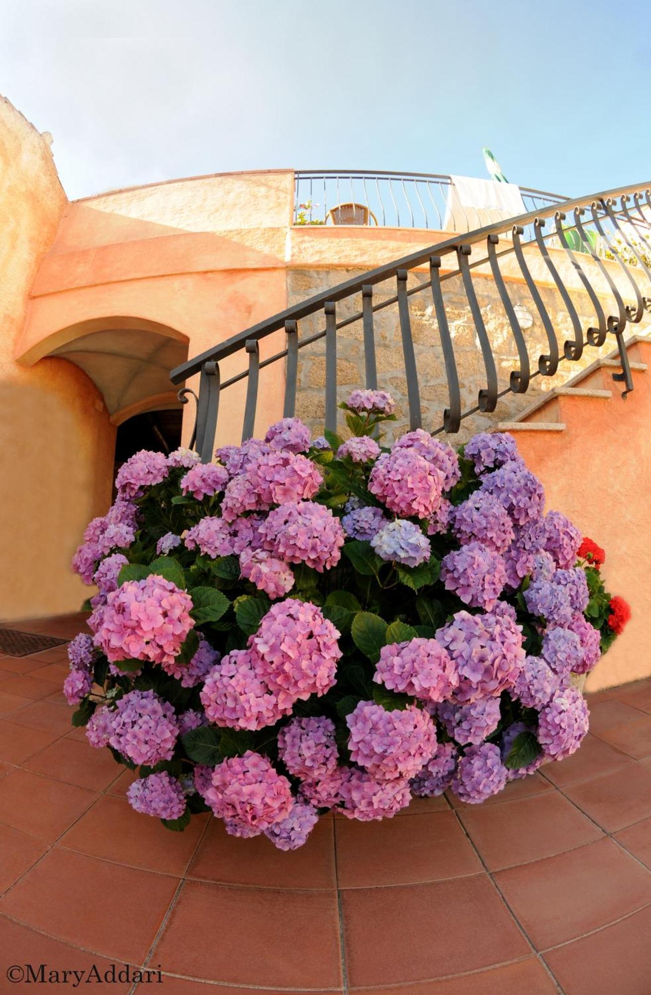 Hotel Villa Gemella Baja Sardinia Luaran gambar